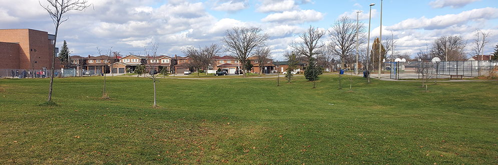 A grassy open space dotted with bare trees of varying sizes under a partly cloudy sky. The field is bordered by a school building on the left and basketball courts on the right. Houses along a residential road are visible in the distance.