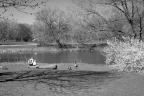 A river with trees and green space around it and a father and his young daughter siting on a log.