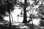 A trail with trees and a creek view.