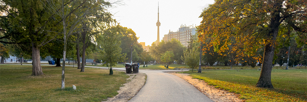 The park showing a central pathway in the middle and mature trees and grass on either side. The CN Tower is in the background.