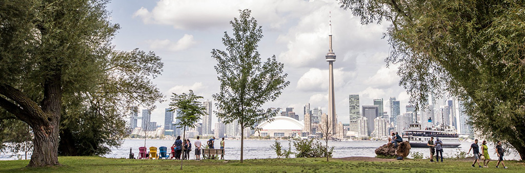 People enjoying the view of the Toronto skyline from a park on Toronto Island.