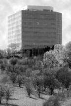 An office building with a large green space with trees in it. 