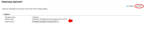 Screenshot of Archives' database printing report interface