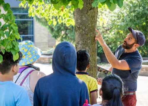 A City of Toronto staff member leading a tree tour for a group of children.