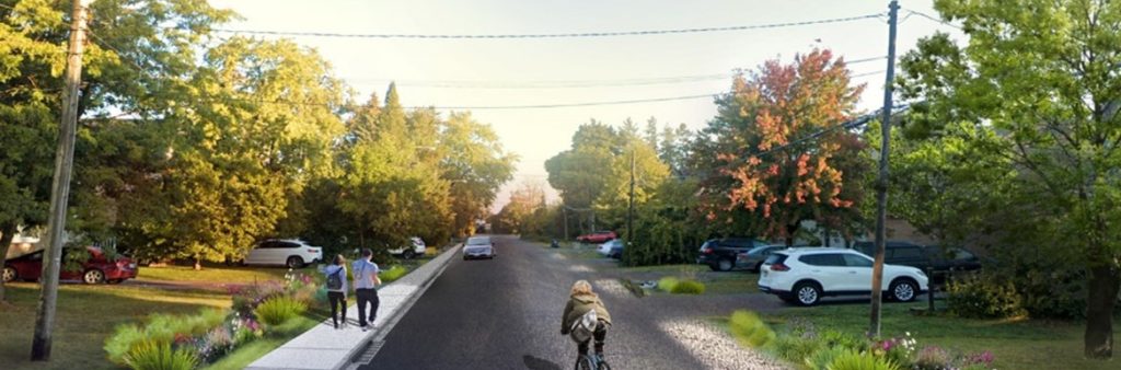 Bioswale rendering along a residential street. Includes a paved road, sidewalk and plantings.
