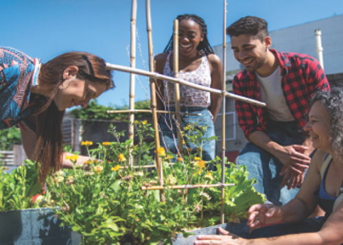 A group of young people smiling as they tend to a garden.