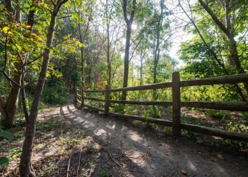 A trail with a fence with sunlight filtering through the trees.
