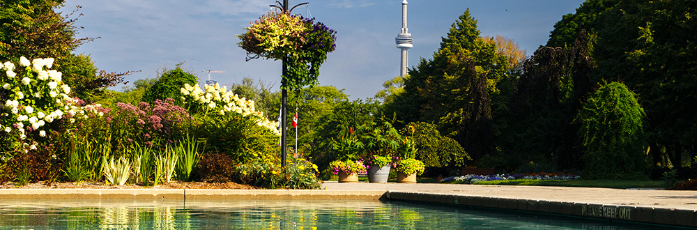 Avenue of the Island Gardens with vibrant flowers, a reflecting pool, and the CN Tower in the background.
