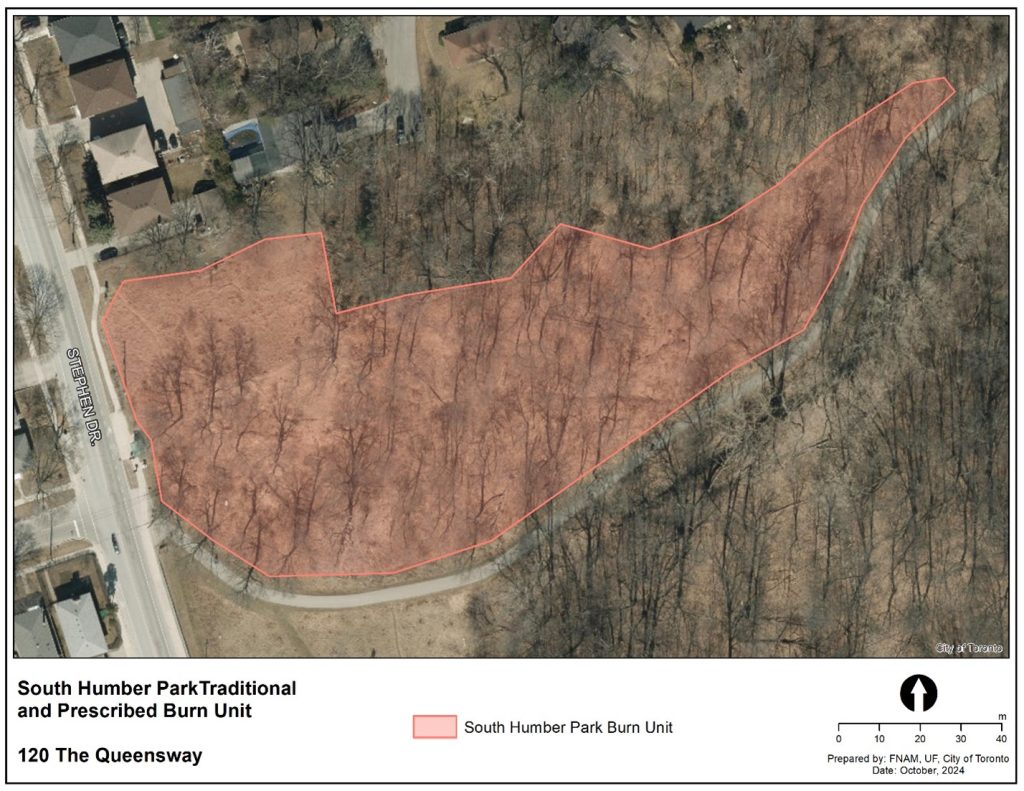 Map of South Humber Park showing the prescribed burn site for 2025. The site located east Stephen Drive.