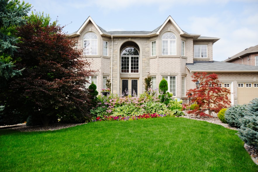 A well-maintained garden surrounded by a variety of trees, shrubs, annuals and hydrangeas with a house in the background.