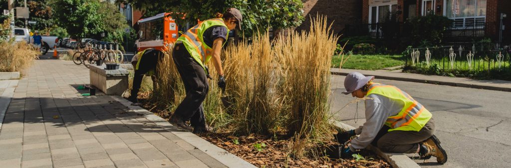 image of three people gardening and maintaining landscape.
