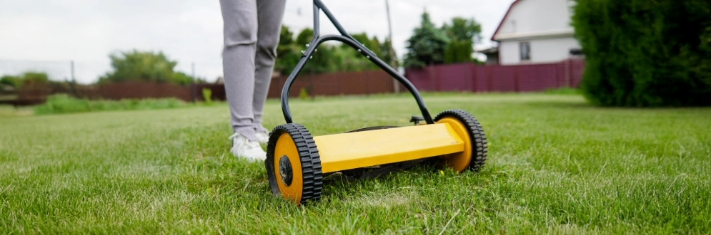 A person using a push mower on green grass with a house in background.