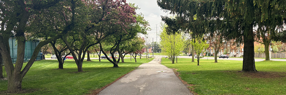 A long central concrete pathway in Thomson Memorial Park with mature trees and grass on either side.