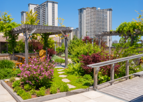 An eco-roof with trees, flowers and shrubs with two wooden pavilions and a yellow chair, set against a backdrop of high-rise buildings.