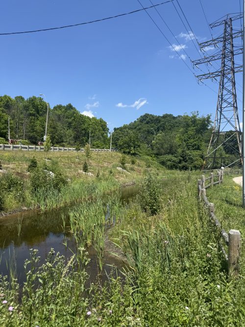 Creek with a road on left side and a wooded fence on right. 