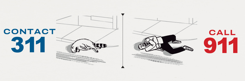 Graphic for the 'Make the Right Call' Campaign, comparing two situations and indicating the phone number for assistance.