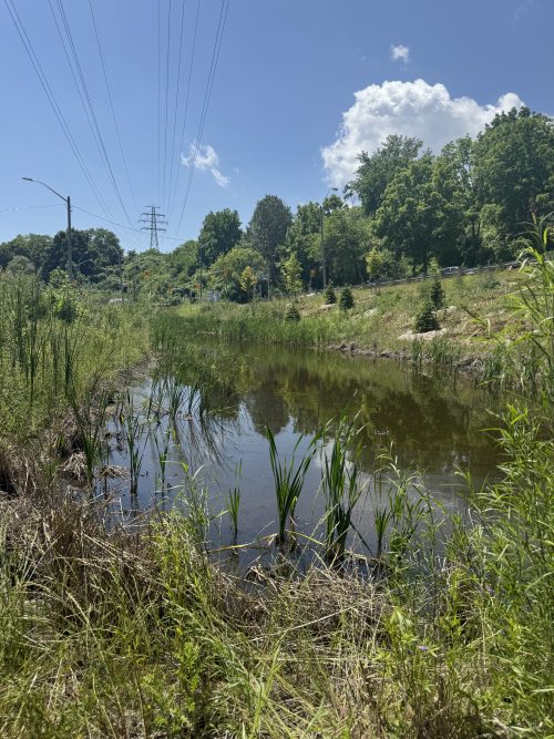 Creek along roadside with a power line. 