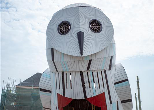 Snowy Owl play structure.