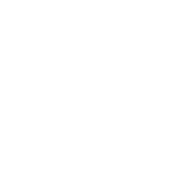 checkbox icon