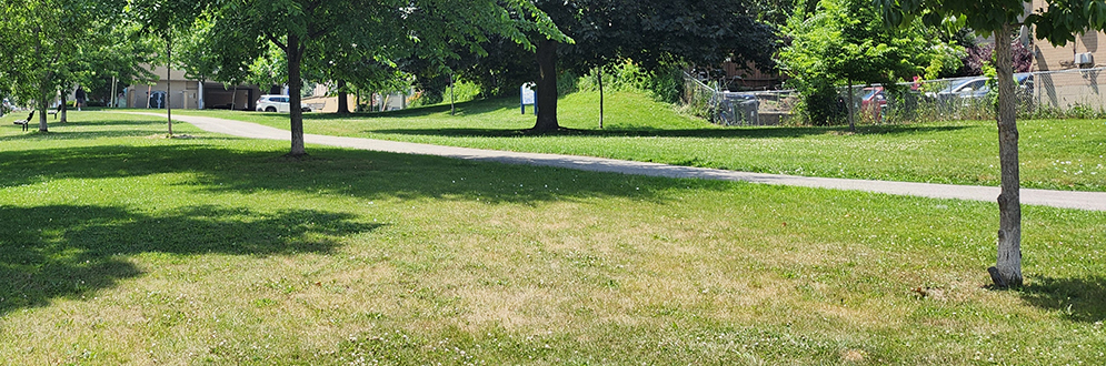 An open lawn area with mature trees, a pathway on the right and sidewalk on the left.