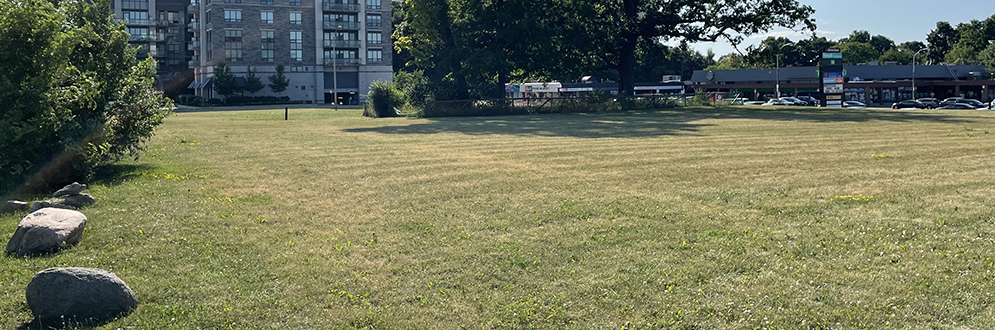 A flat open lawn space with mature trees and shrubs along the edges sits in front of a mid-rise residential building to the left and a strip mall and parking lot to the right.