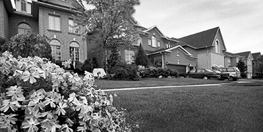 Single family detached homes.