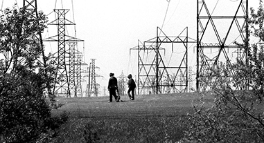 People walk through a hydro corridor.
