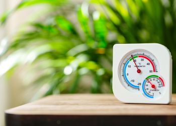 Thermometer on table against plants in the background