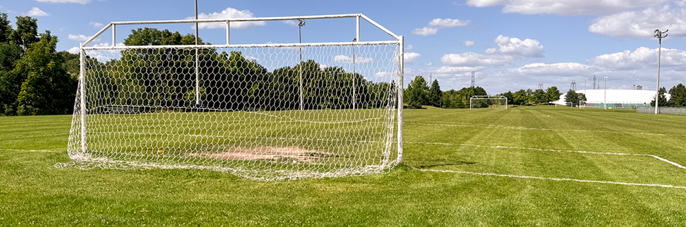 A soccer field with a white goalpost and net in the foreground and trees and tall light poles in the background.