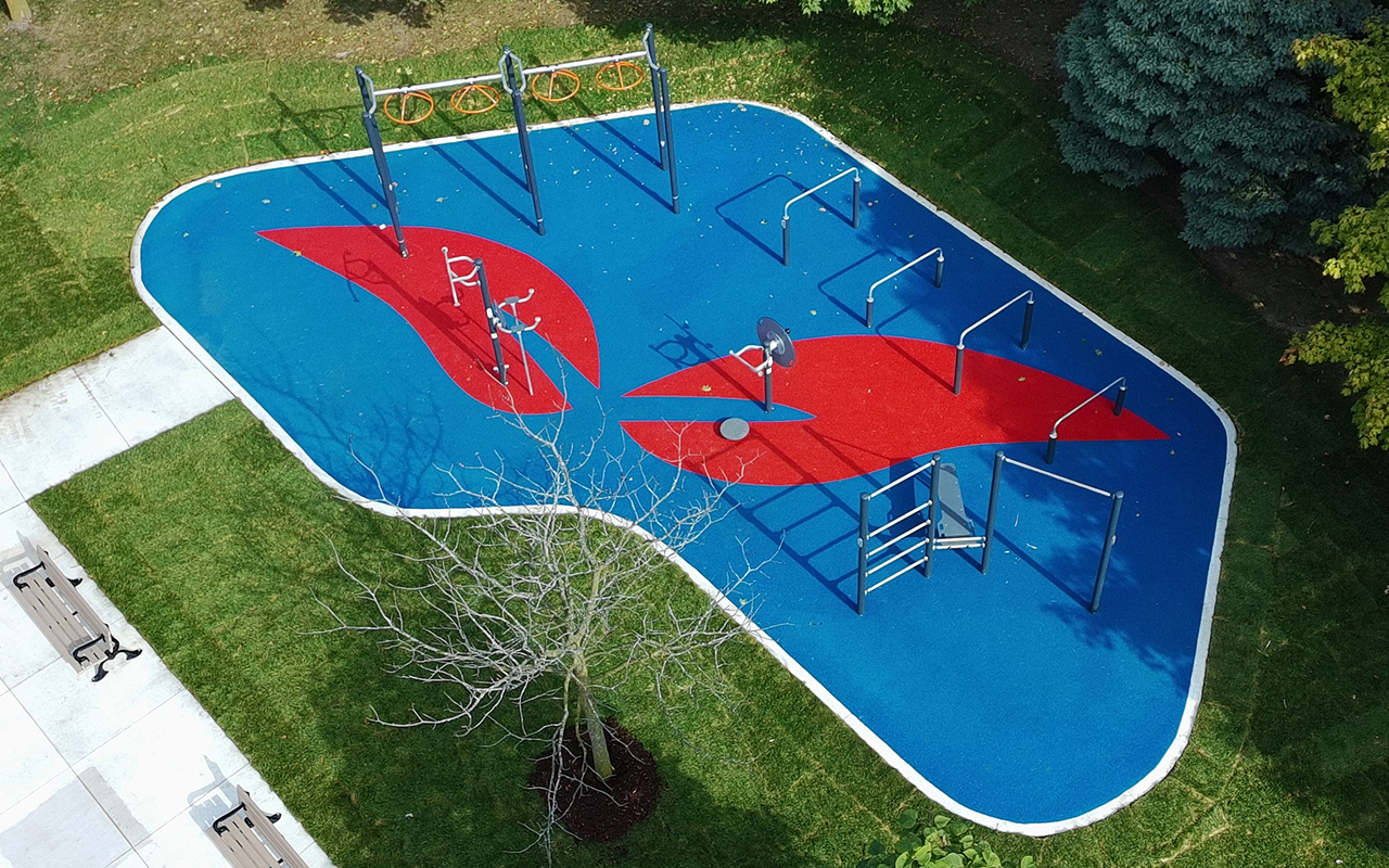 A variety of outdoor fitness equipment, including pull-up bars, dip bars and mores.