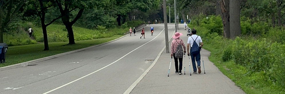 A paved pathway in a park with a road on the left and a sidewalk on the right, bordered by green trees and grass. Two people are walking with poles on the sidewalk, while others walk or jog in the distance.