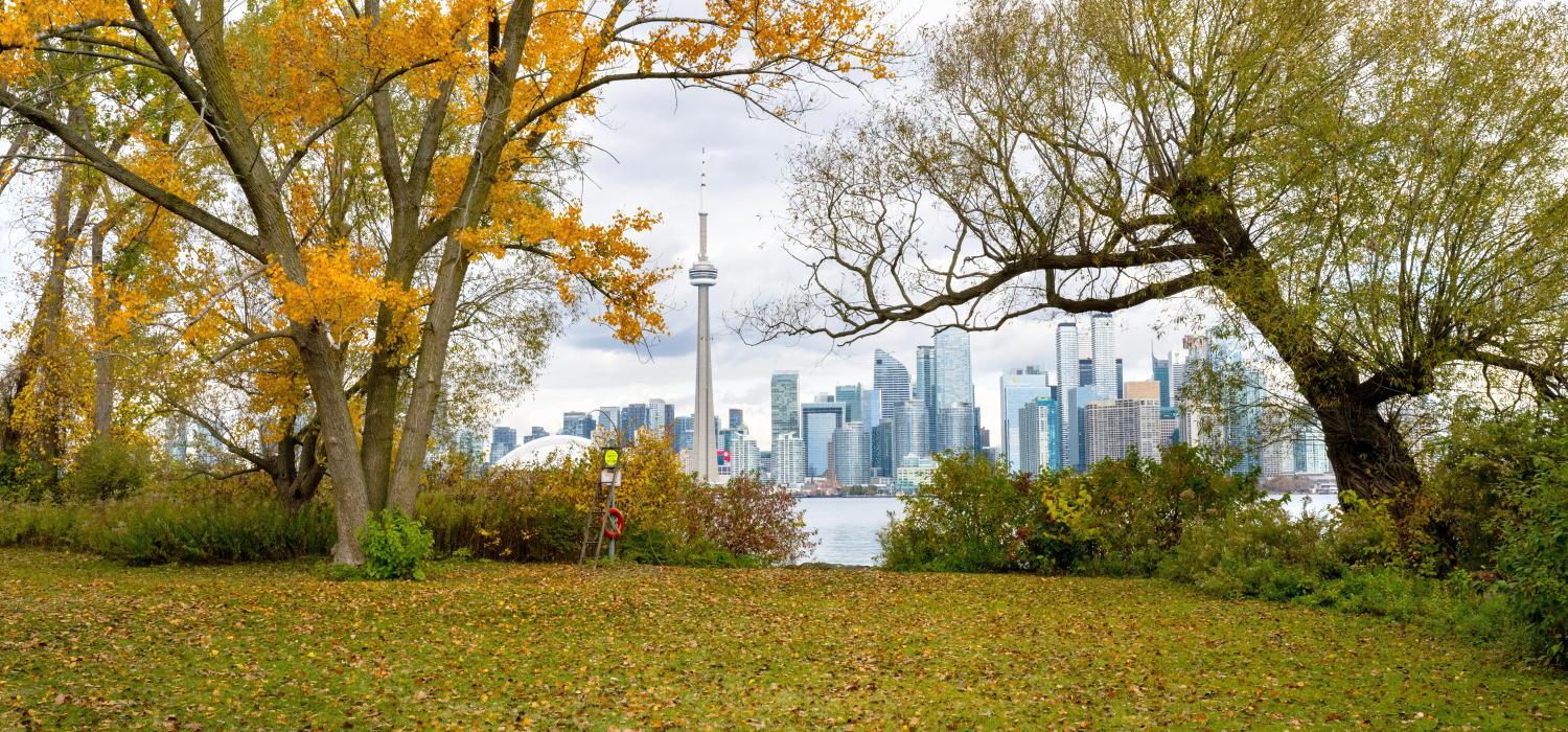Toronto skyline with fall trees and the CN Tower, viewed from Toronto Island