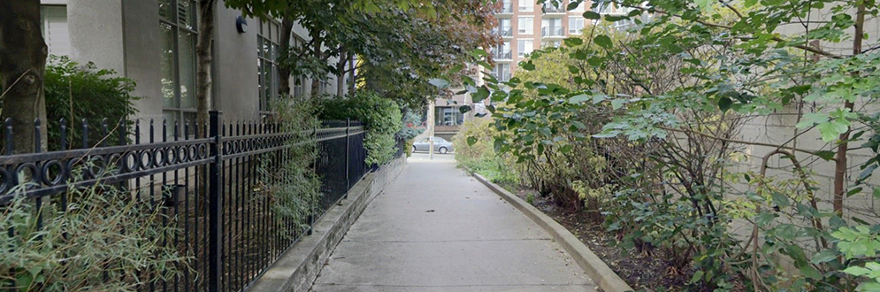 Walkway with plantings on the right and a fence to neighbouring residents on the left.
