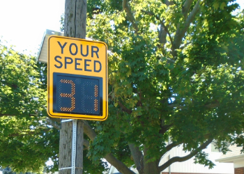 Speed camera on a tree-lined street