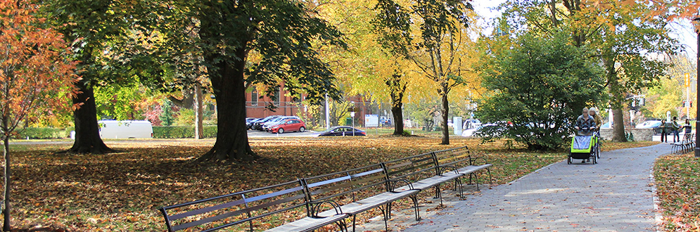 Visitors walking along the southeast pathway in Queen’s Park North.