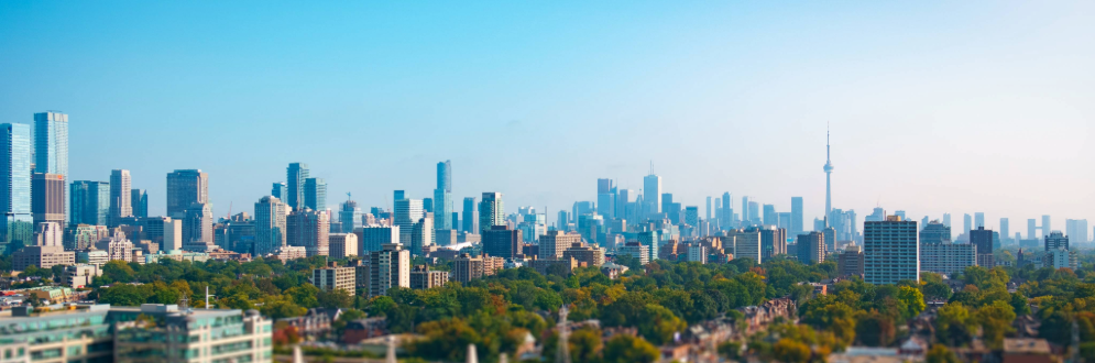 City of Toronto with buildings in background and greenery in foreground