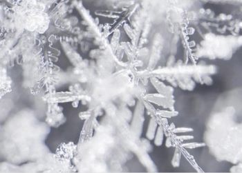 Snowflake covered with ice and snow