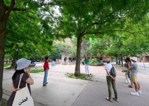 A group of people looking at a tree in the city.