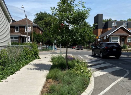 Photo of a curb extension with greenery planted