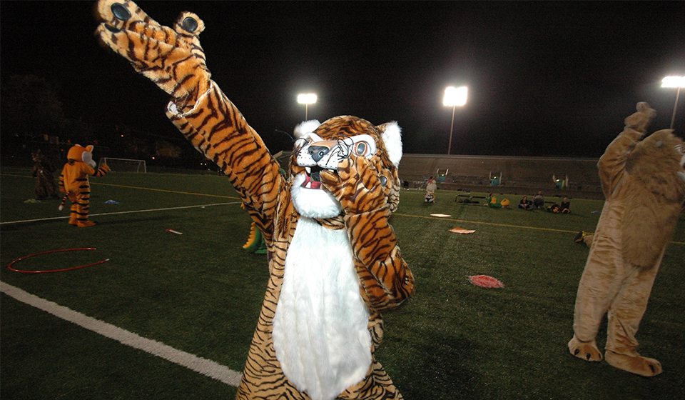 Tiger mascot has arm raised diagonally in a field in a sports stadium. There are other cat mascots on the field.