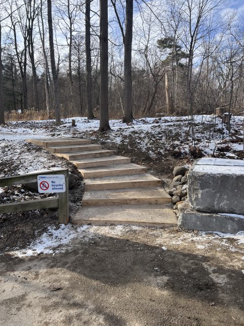 A forest in winter showing a set of steps with a sign to the left on a wooden fence, reading no bicycles allowed.