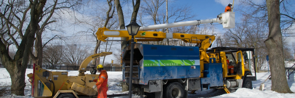 A ground crew cleaning up debris after an ice storm.