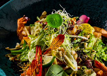 Close up of colourful plated salad.
