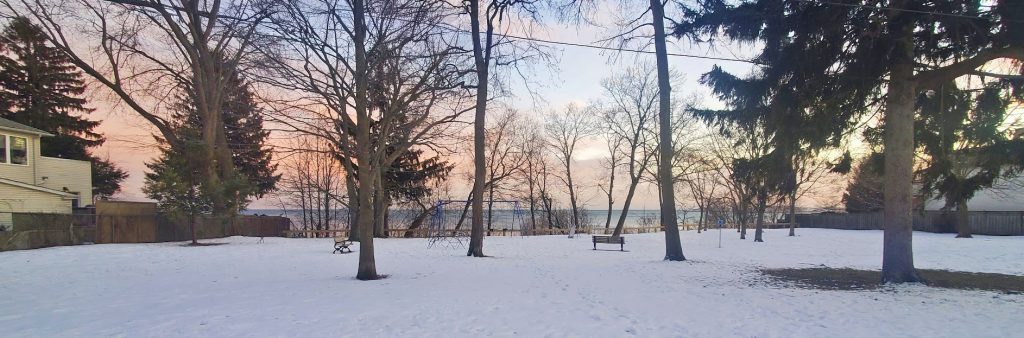 A snow‑covered open park space with scattered tall trees and a few benches. Houses and fences line the edges of the park. A soft pink and blue sunset sky is visible through the bare branches.