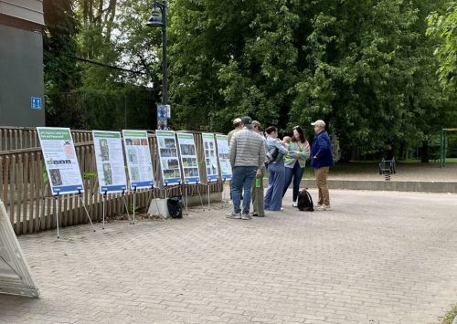 Photo taken at the pop-up event showing participants viewing the proposed design options on display boards at Leslie Grove Park. 