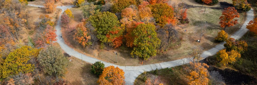 Aerial view of a large park filled with trees in vibrant fall colours—reds, oranges, yellows, and greens. Curved walking paths loop through the park, and open grassy areas are scattered between the trees. Beyond the park, a residential area and roads are visible in the distance under a bright sky.