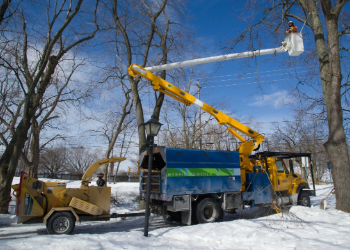 City crew in a truck maintaining a tree during a winter day.