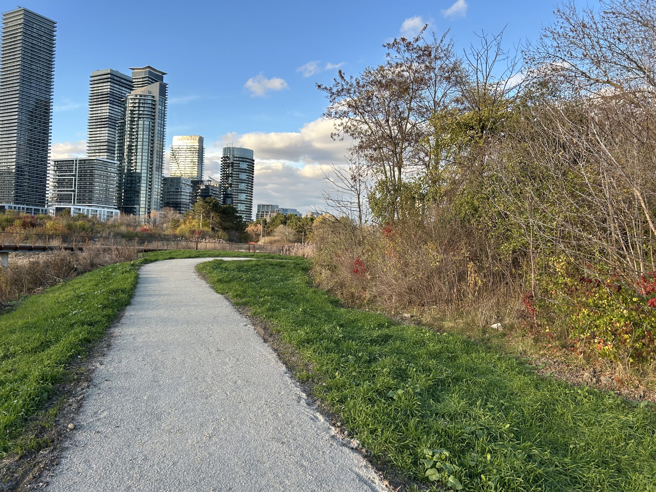 View of a gravel path curving through a natural landscape with grass and bare shrubs. The path overlooks a marsh area to the left. In the distance are trees and several high-rise buildings.
