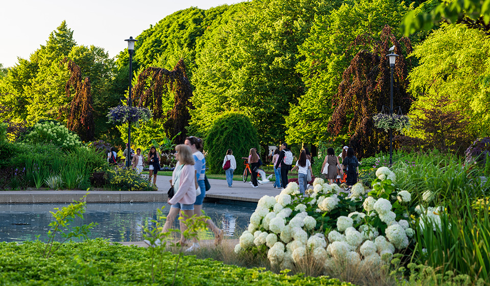 Many people walking along paths in a park with green trees and flower gardens.
