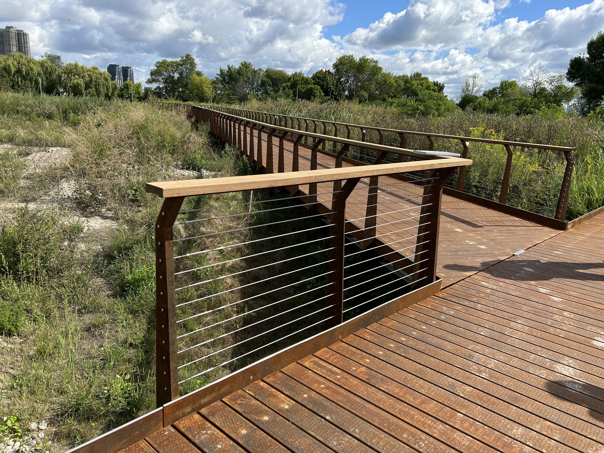 View at the intersection of two boardwalk segments with wooden handrails and horizontal cabling. One part of the boardwalk extends into the distance through marshland filled with vegetation and patches of open ground.